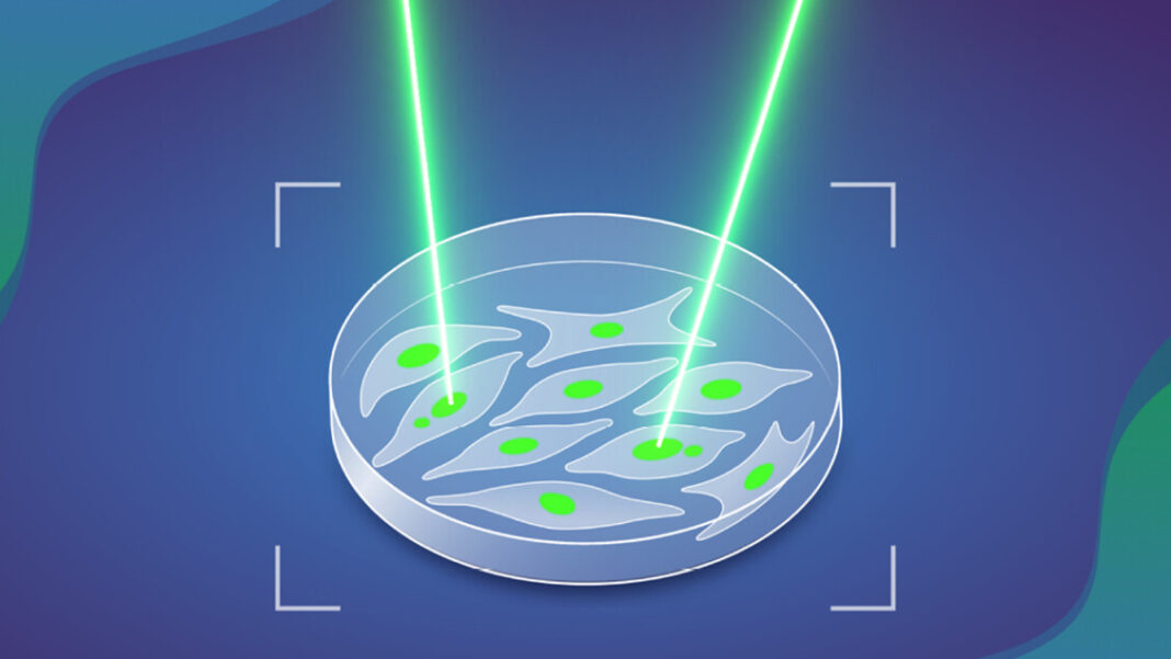 Etichette laser e IA intercettano i primi segnali dei tumori VIDEO – Biotech