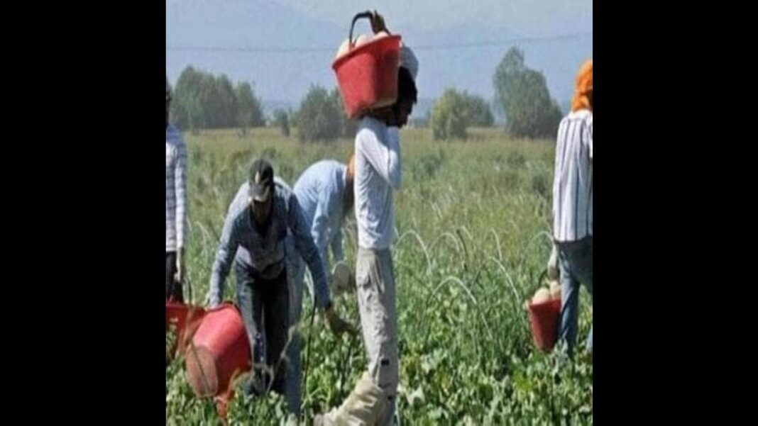 Decreto flussi, sì della Camera. Passa la stretta leghista sui ricongiungimenti