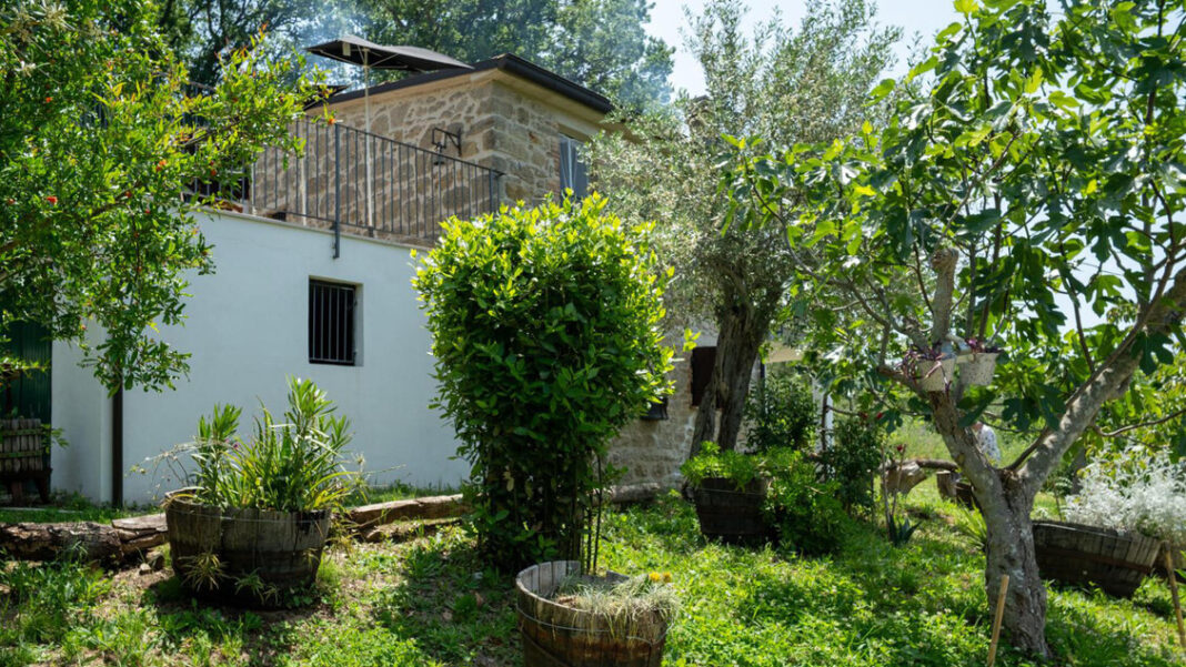 La famiglia nel bosco accetta la casa offerta da un imprenditore – Notizie