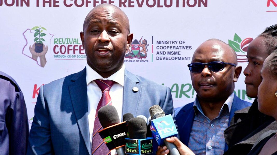 25.000 saccos rischiano la chiusura per la mancanza di rapporti di audit