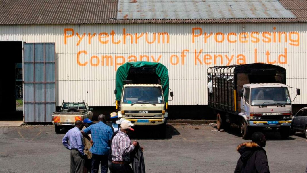 L’azienda statale di piretro è rimasta bloccata con un debito di 3,5 miliardi di scellini dopo il crollo della vendita di asset