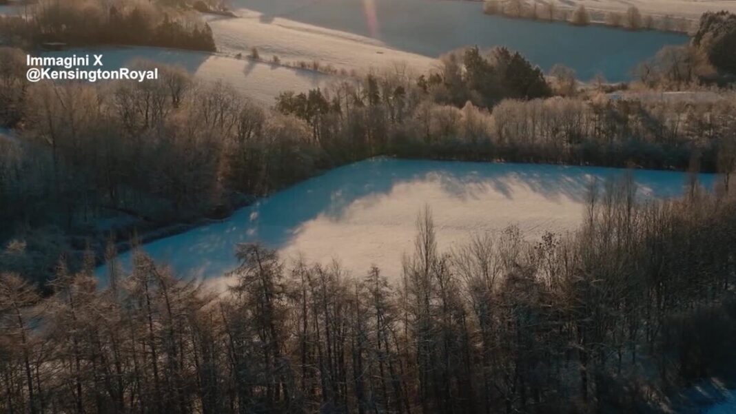 Kate festeggia i 44 anni con un video dedicato alla natura – Mondo