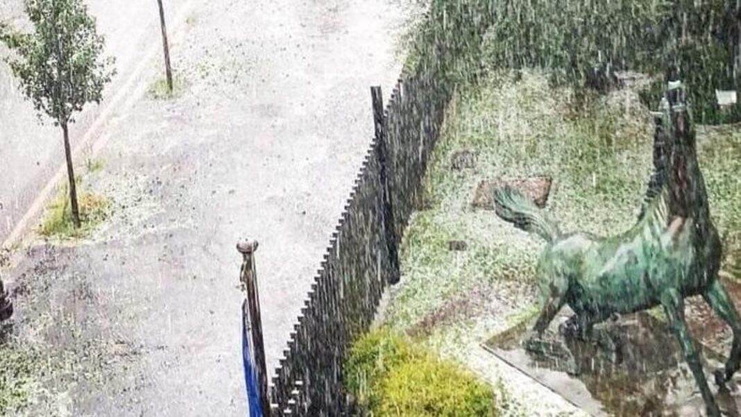 Programmi di Rai1 e Rai2 in ritardo. Pioggia di spot come sulle tv commerciali. Richiamo del Garante