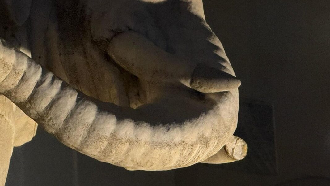 Sfregiata (ancora una volta) la statua dell’elefantentino a piazza della Minerva: staccata una zanna