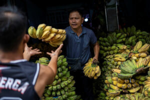 Una guerra prolungata in Medio Oriente potrebbe frenare le esportazioni di banane e ananas