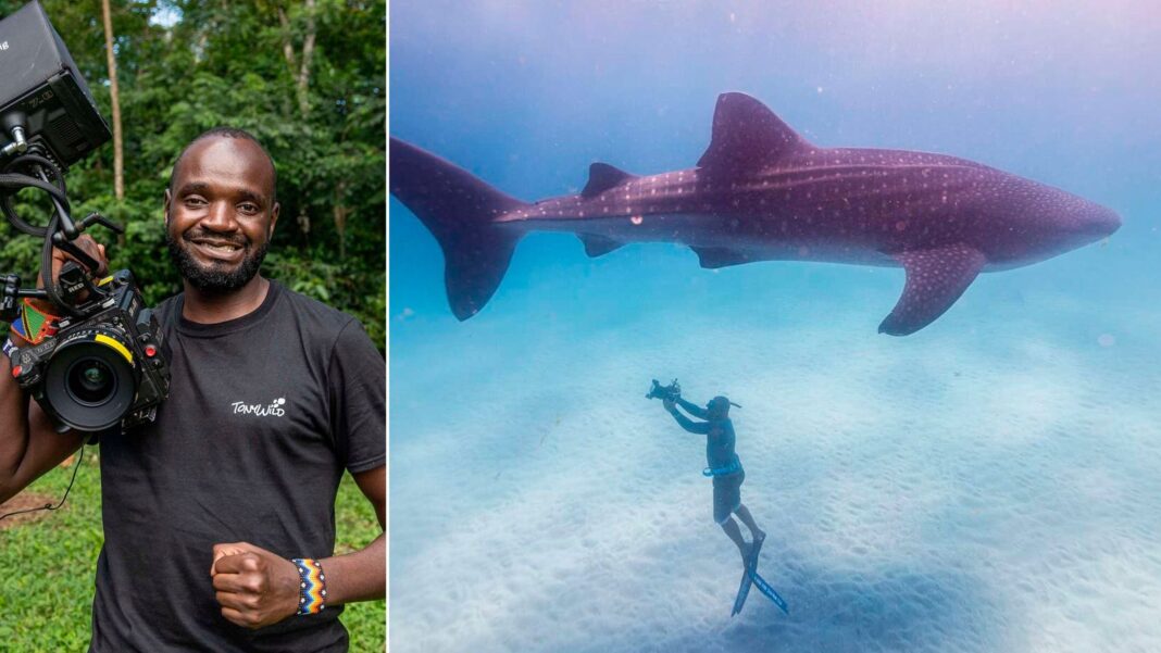 Il keniano che nuota con gli squali per vivere