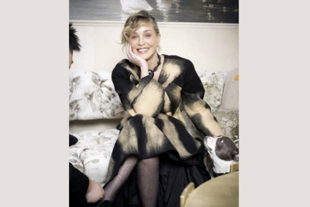 Sharon Stone, a 68 anni ha cambiato connotati: nell’ultima foto è irriconoscibile