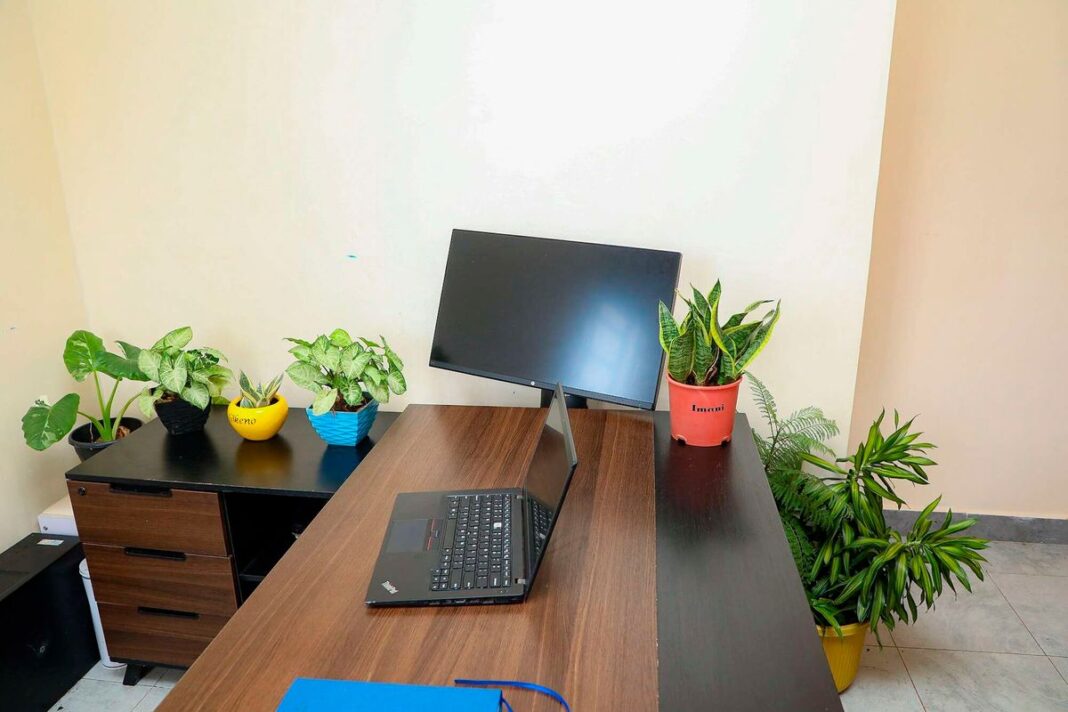 Ascesa del desktop gardening mentre le persone abbracciano il verde nei loro spazi di lavoro