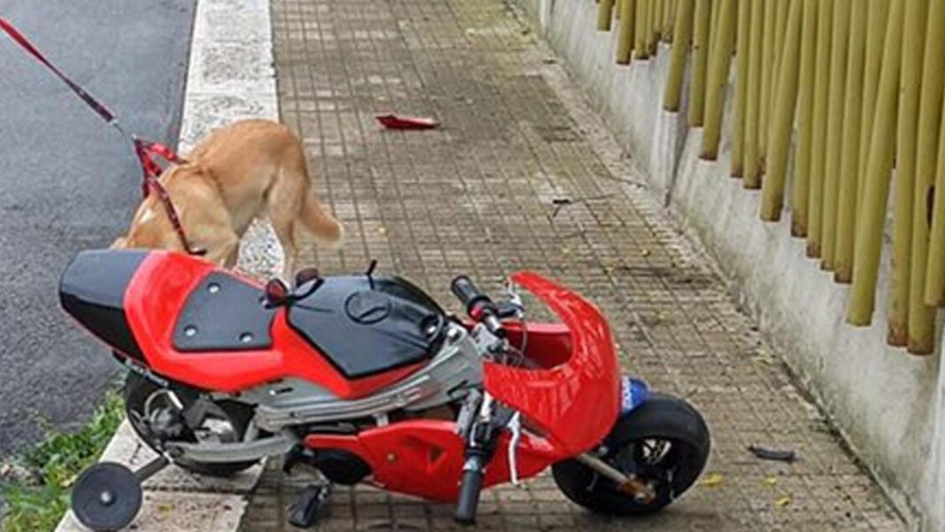 Alla guida della minimoto a 10 anni, muore nello scontro con una jeep – Notizie