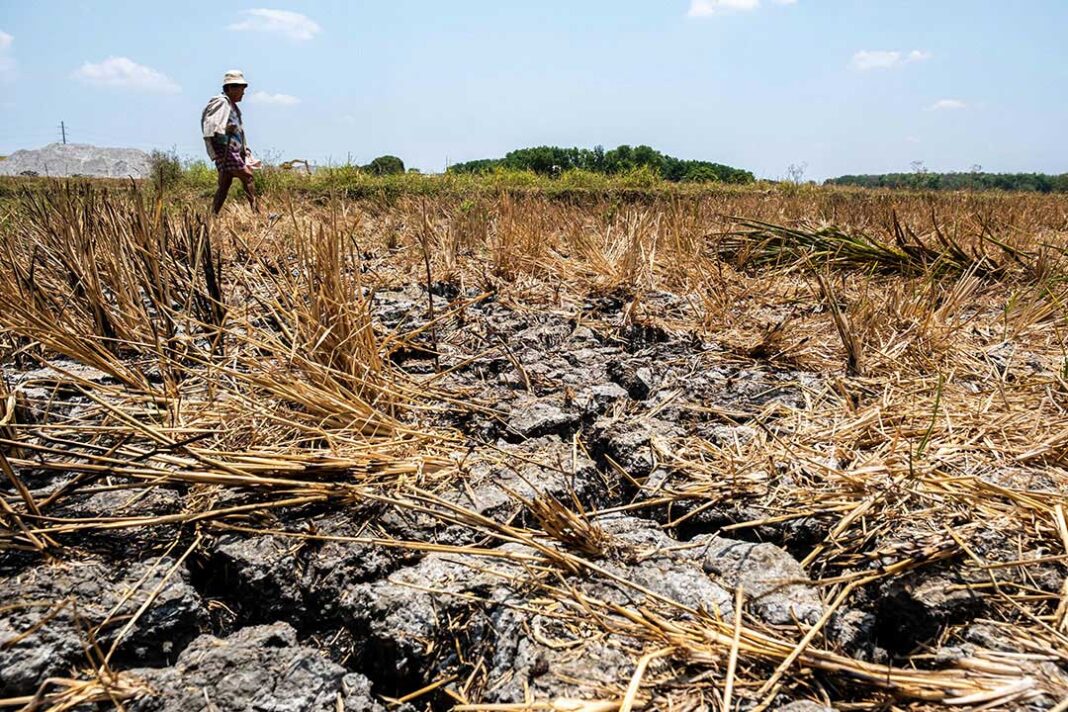 Fitch: esteso El Niño per sconvolgere l’economia PHL